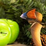 Safari Ltd. Safari Ltd. Figúrka - Tapejara (pterosaurus)