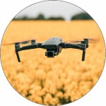 Jedlý papier dron na lúke 19,5 cm - Pictu Hap - Pictu Hap