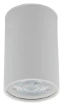 TK Lighting Top biela / Stropné bodové svietidlo / GU10 / max. 10W (5766)