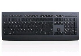 Lenovo Professional Wireless CZ čierna / bezdrôtová sada klávesnice a myši / CZ verzia (4X30H56803)