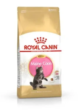 Royal Canin Kitten Coon 10kg