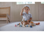 PlanToys PlanToys Kreatívna stavebnica "Orchard"
