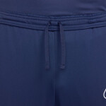 Nohavice Nike Dri-Fit Academy 25 M FZ9805 410 S