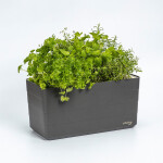 Plastia Samozavlažovací truhlík Berberis antracit/zelená 40 cm