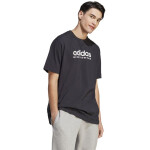 Adidas All SZN Graphic Tee IC9815 tričko