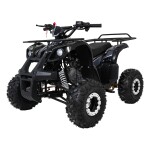 Mamido Detská benzínová štvorkolka RamiGO WILDPEAK 110CC čierna
