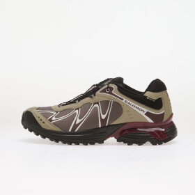 Tenisky Salomon XT-WHISPER GTX Silves/ Huckle/ Maroob EUR 45 1/3