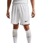 Pánske šortky Nike Dri-Fit Laser VI white HV8244 100 L