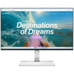 23.8" Lenovo L24D-4C sivá / IPS / 1920x1080 / 4ms / 250cd-m2 / 1500:1 / HDMI / VESA (67DCUAC6EU)
