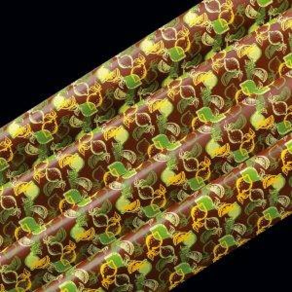 Transferové fólie 40 × 25 cm Mojito - PCB