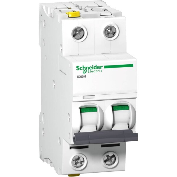 Schneider Electric A9F07202 A9F07202 elektrický istič 2 A 400 V; A9F07202