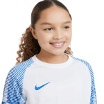 Tričko Nike Df Academy Jsy SS Jr DH8369 102 L