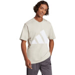 Tričko adidas Essentials Big Logo M JE8933 muži S