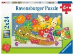 Ravensburger Ovocie