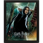 Pyramid International 3D obraz Harry Potter Snape