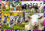 Trefl Puzzle Zábavné zvieratá
