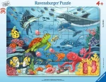 Ravensburger Pod morskou hladinou