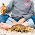 Safari Ltd. Safari Ltd. Figúrka - Sarcosuchus