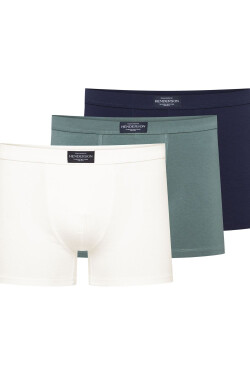 Súprava model 209613 Henderson XXL