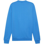 Pánska mikina Puma Team Goal Casuals Crew Neck M 658592 02 L