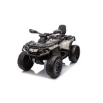 Mamido Detská elektrická štvorkolka Can-Am Outlander ATV 4x200W sivá