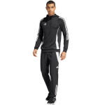 Adidas Tiro 24 Training Hoodie IJ9957