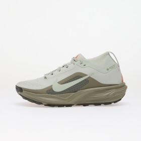 Tenisky NIke ACG Pegasus Trail GORE-TEX Light Silver/ Light Silver-Light Army EUR 38