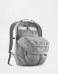 Patagonia Refugio Day Pack 26L Berry Fig