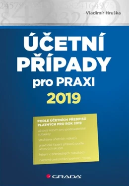 Účetní případy pro praxi 2019, Hruška Vladimír