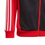 Tepláková súprava adidas Essentials 3-Stripes Tiberio Track Suit Jr IJ7083 164CM