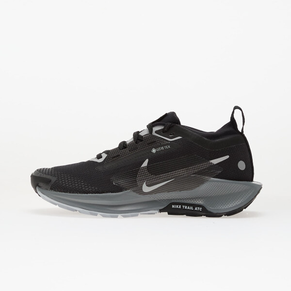 Tenisky Nike W Pegasus Trail 5 Gtx Black/ Wolf Grey-Cool Grey-Anthracite-Reflect Silver EUR 36.5