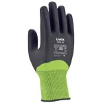 Uvex C500 XG 6060011 rukavice odolné proti prerezaniu Veľkosť rukavíc: 11 1 pár; 6060011