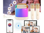Mamido Mikrofóny s bezdrôtovým reproduktorom + bluetooth + 2 mikrofóny IN0178