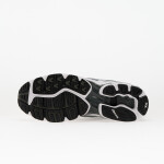 Tenisky Mizuno Wave Rider 10 White/ Silver/ Black EUR 45