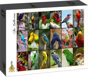 GRAFIKA Puzzle Najkrajšie vtáky sveta