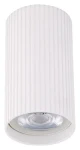 TK Lighting Tune S biela / Stropné svietidlo / GU10 / 10W (10023)