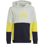 Adidas Colourblock Hoodie Jr HN8567