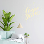 Veselá Stena Samolepka Carpe Diem (Užívaj dňa) Farba: ružová, Veľkosť: 60 x 60 cm