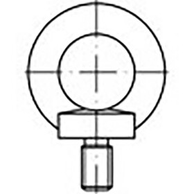 TOOLCRAFT TO-6855678 závesné skrutky M6 DIN 580 ocel pozinkované 25 ks; TO-6855678