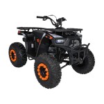 Mamido Detská benzínová štvorkolka RamiGO MONSTER 200CC čierno-oranžová