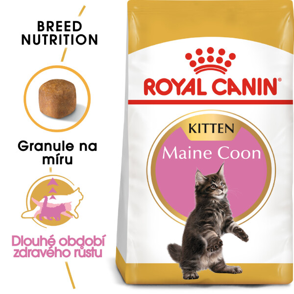 Royal Canin Cat Main Coon Kitten