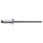 Gesipa 1454626 slepý nit (Ø x d) 6 mm x 10 mm ocel ocel ocel 250 ks; 1454626