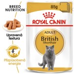 Royal Canin Cat British Shorthair - 12x85g