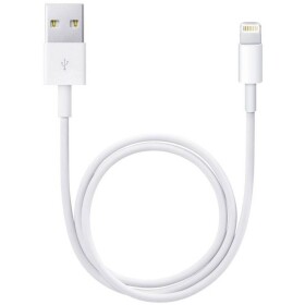 Apple iPod, iPhone, iPad prepojovací kábel [1x USB 2.0 zástrčka A - 1x dokovacia zástrčka Apple Lightning] 0.50 m biela; ME291ZM/A