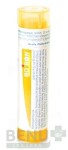 RUTA GRAVEOLENS 15CH granule 4 g