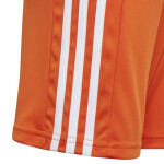 Squadra 21 šortky Adidas