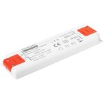 YingJiao LED driver 30 W 1.25 A 24 V; YSL30F-2401250