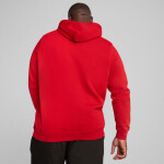 Pánska mikina Puma ESS No.1 Logo Hoodie FL M 682570 11 L