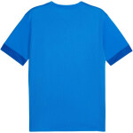 Puma teamGoal Matchday Jersey M 705747 02 muži M