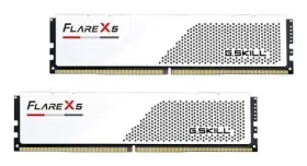 G.Skill Flare X5 48GB (2x24GB) 6000MHz / DDR5 / CL30 / DIMM / 1.35V / Non-ECC / Unbuffered / EXPO (F5-6000J3036F24GX2-FX5W)